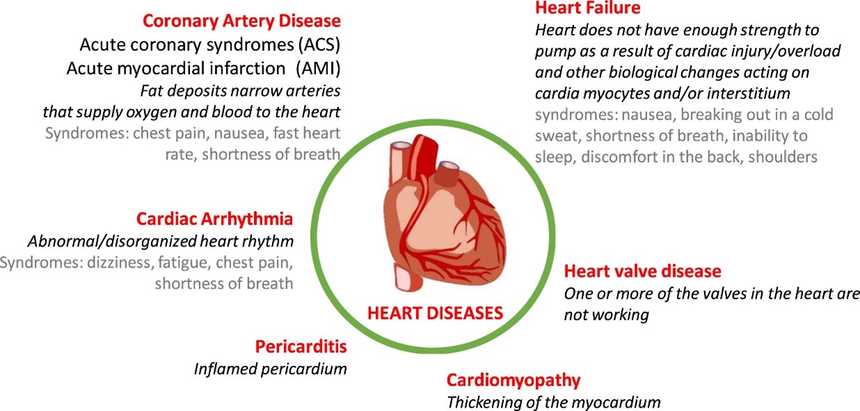 Karolina- Intro to Cardiac Biomarkers figure 1
